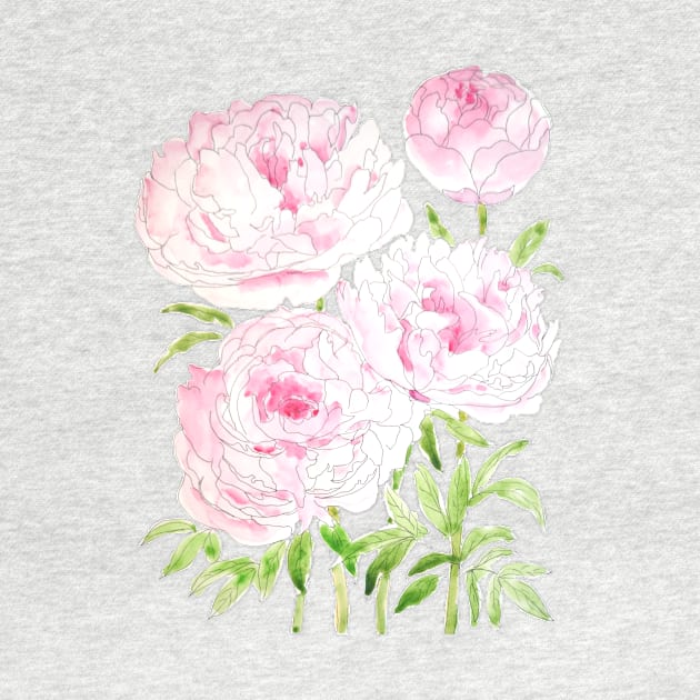 pink peony flowers  watercolor and ink by colorandcolor